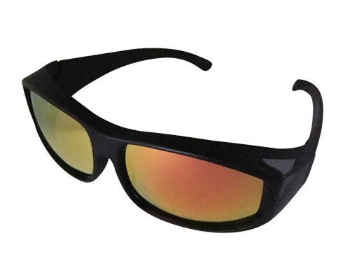 IN-002 Polarized Sunglasses